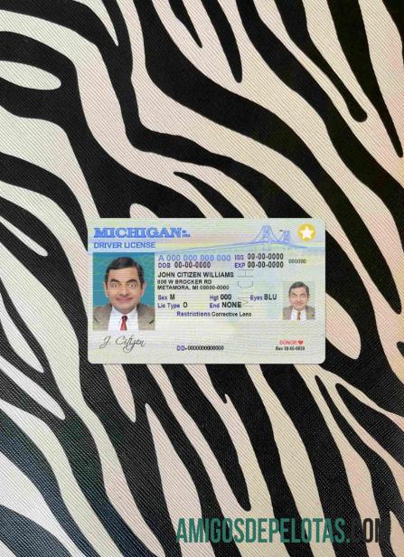 EUA Michigan DL fotovisual frontal exemplo